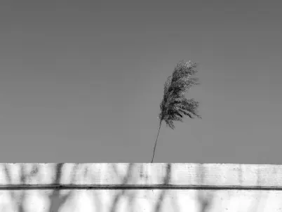 Καζίνο Κλασση Σλοτς Κινητη εφαρμογη